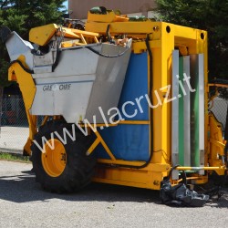 GEZOGENER GREGOIRE TRAUBENVOLLERNTER G60I – V121